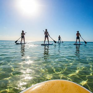 people on paddle boards